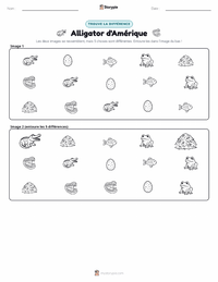 Aperçu de la feuille de travail imprimable Alligator d'Amérique