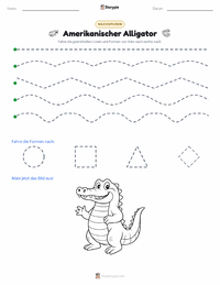 Amerikanischer Alligator druckbare Arbeitsblatt Vorschau