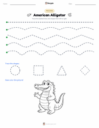 American Alligator printable worksheet preview