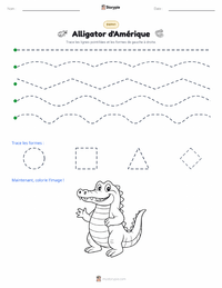 Aperçu de la feuille de travail imprimable Alligator d'Amérique