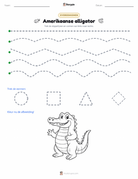 Amerikaanse alligator afdrukbare werkblad voorbeeld