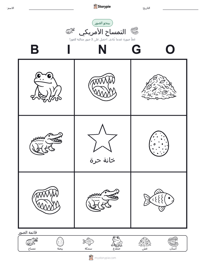 بينغو الصور