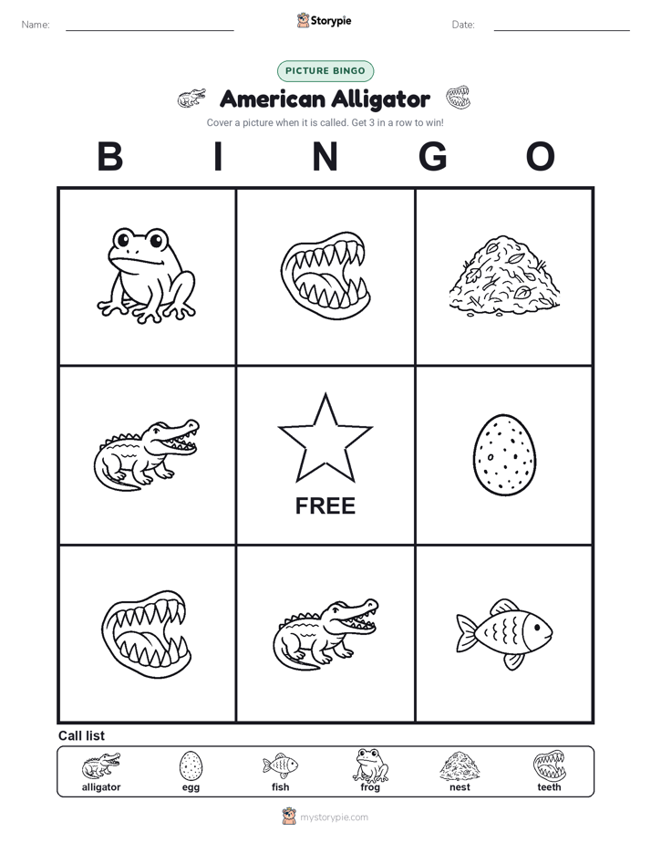 Picture Bingo