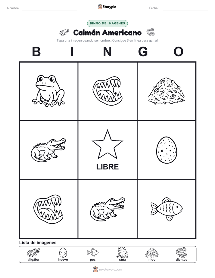 Bingo de Imágenes