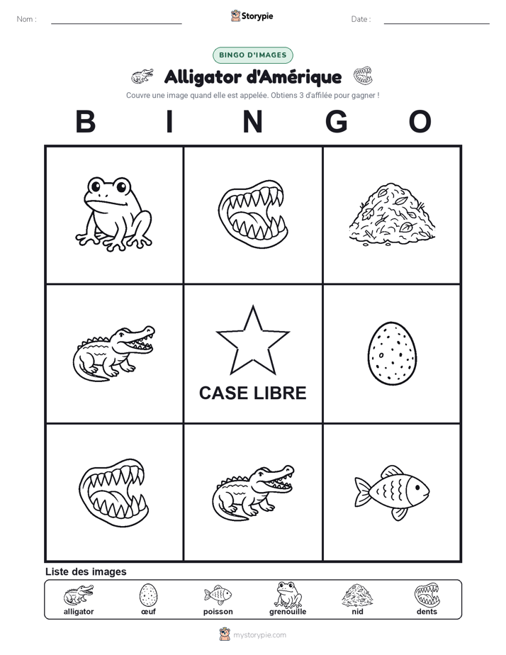 Bingo d'Images