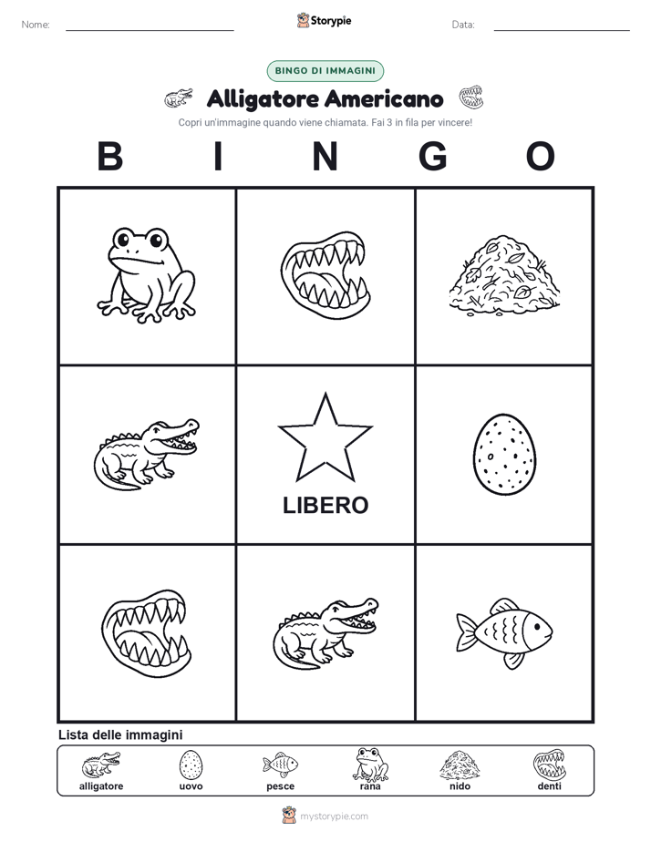 Bingo delle Immagini