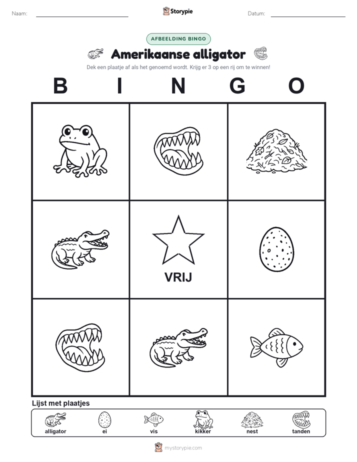 Afbeelding Bingo