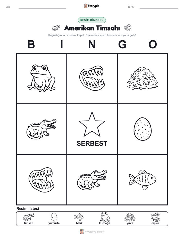 Resim Bingo