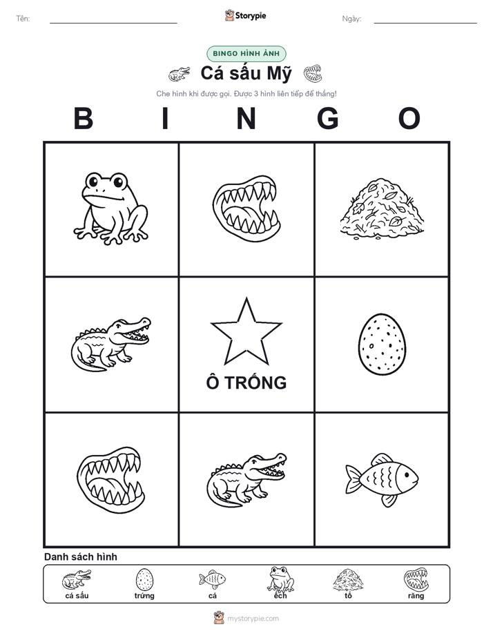 Bingo Hình Ảnh