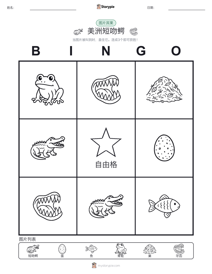 图片宾果