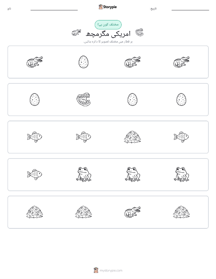 عجیب ایک