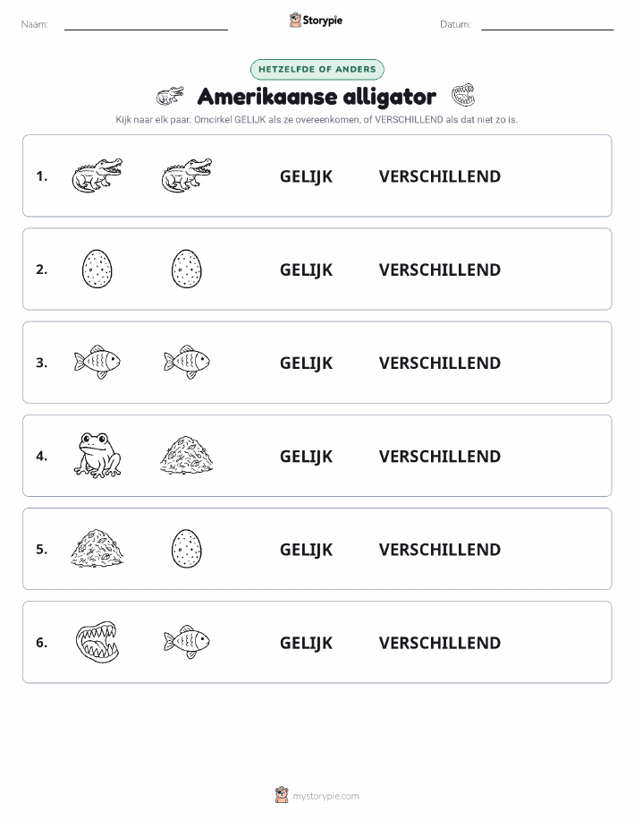 Zelfde of Verschillend