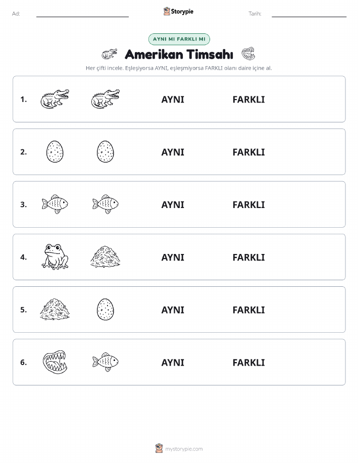Aynı mı Farklı mı