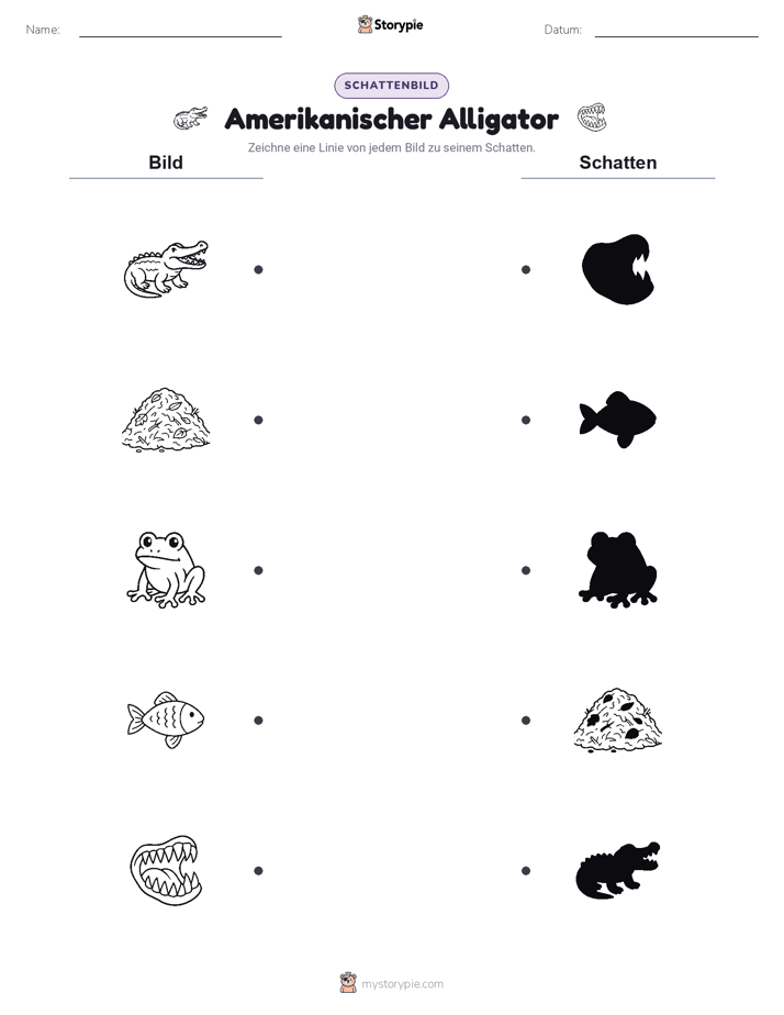 Schattenmatch