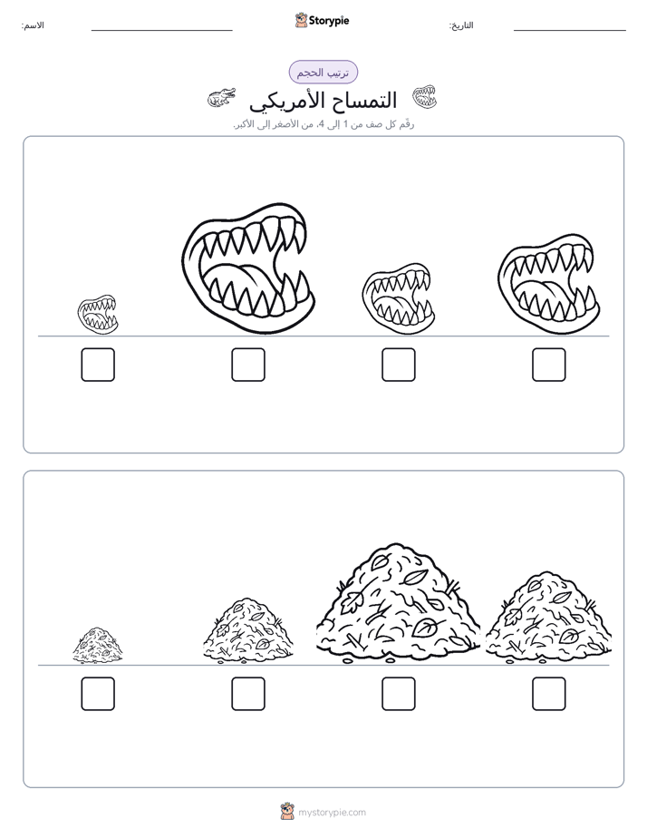 ترتيب الحجم