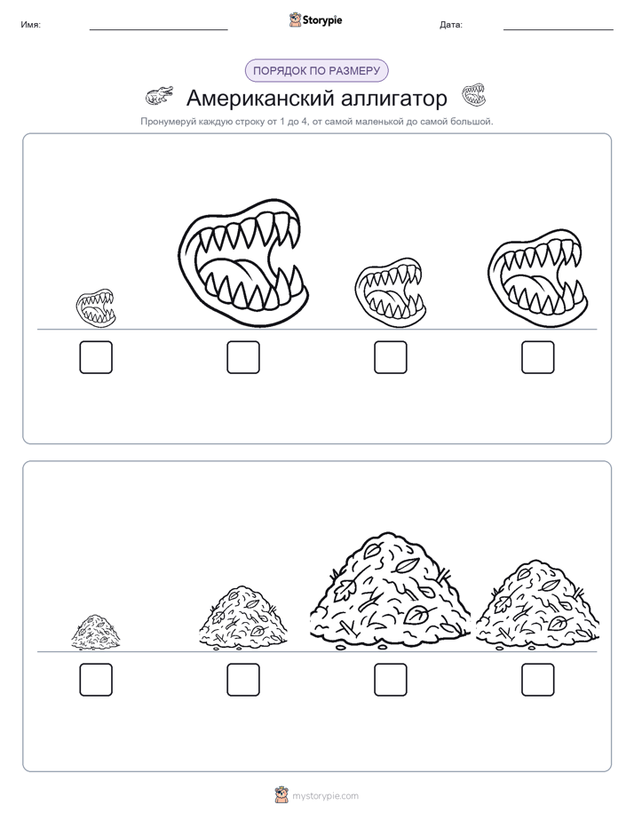 Размеры в порядке