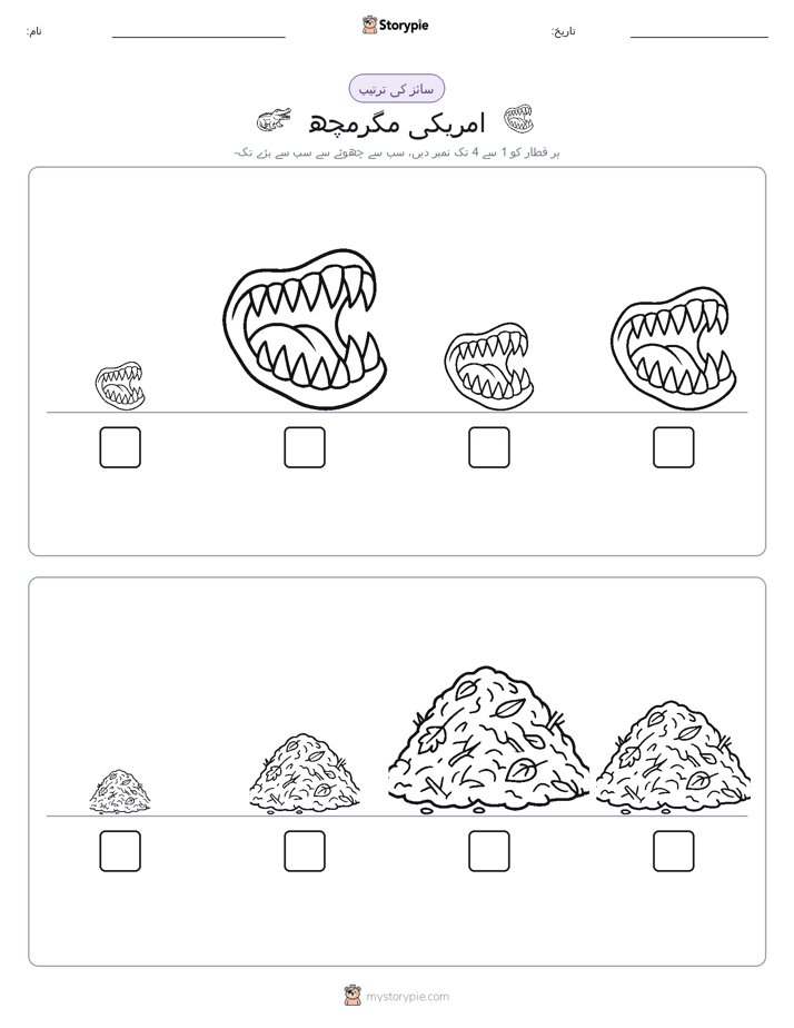 سائز کی ترتیب