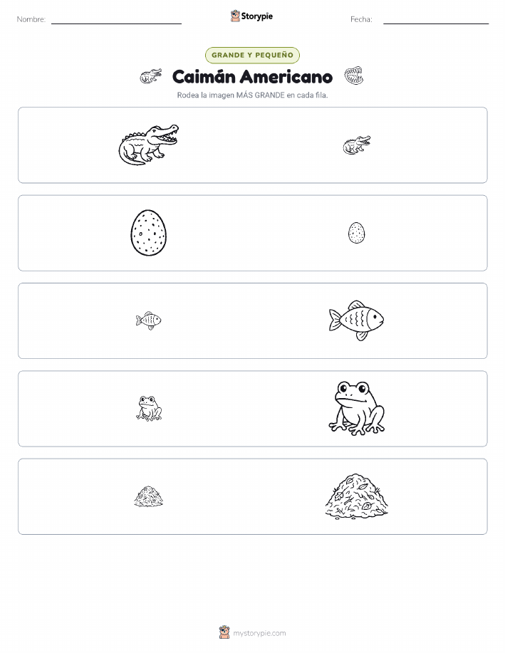 Clasificación