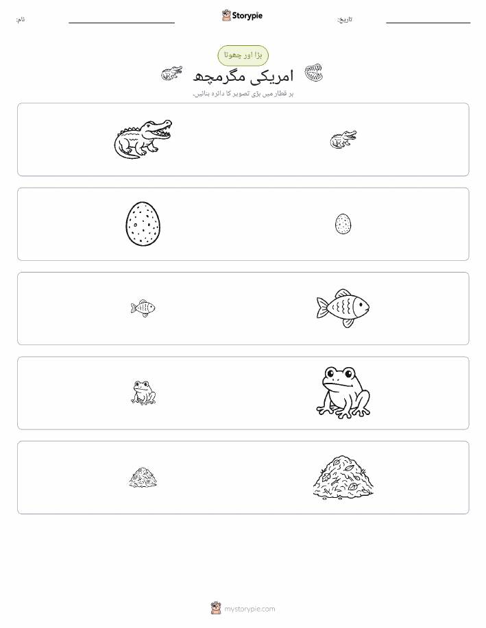 ترتیب دینا