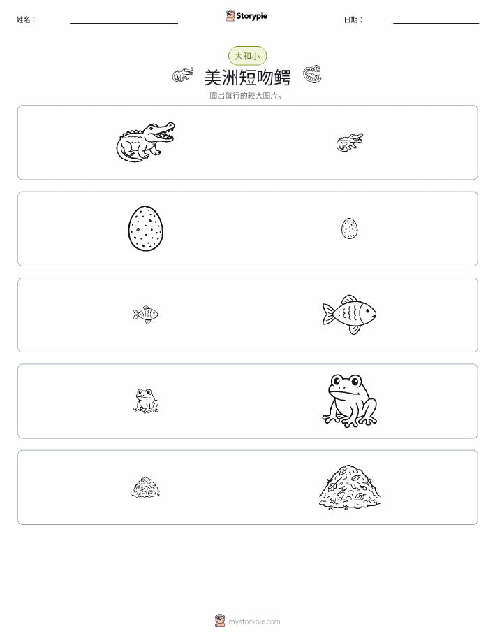 分类