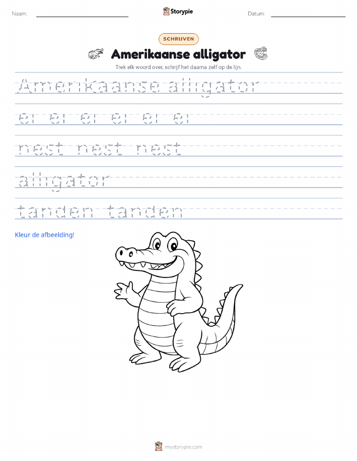Schrijf Oefening