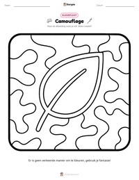 Camouflage afdrukbare werkblad voorbeeld