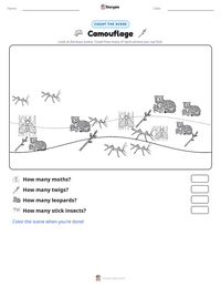 Camouflage printable worksheet preview