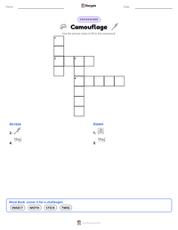 Camouflage printable worksheet preview