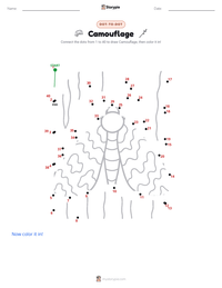 Camouflage printable worksheet preview