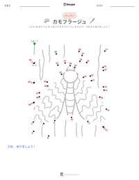 カモフラージュ の印刷可能ワークシートプレビュー