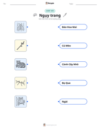 Xem trước tài liệu in sẵn Ngụy trang