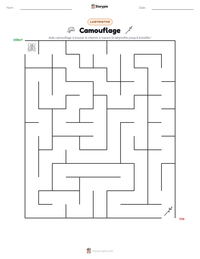 Aperçu de la feuille de travail imprimable Camouflage