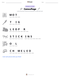 Camouflage printable worksheet preview