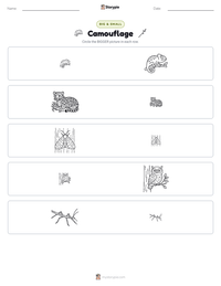 Camouflage printable worksheet preview