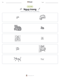 Xem trước tài liệu in sẵn Ngụy trang