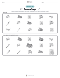 Camouflage printable worksheet preview