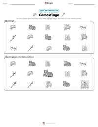 Camouflage afdrukbare werkblad voorbeeld