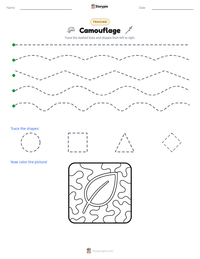 Camouflage printable worksheet preview