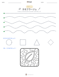 カモフラージュ の印刷可能ワークシートプレビュー