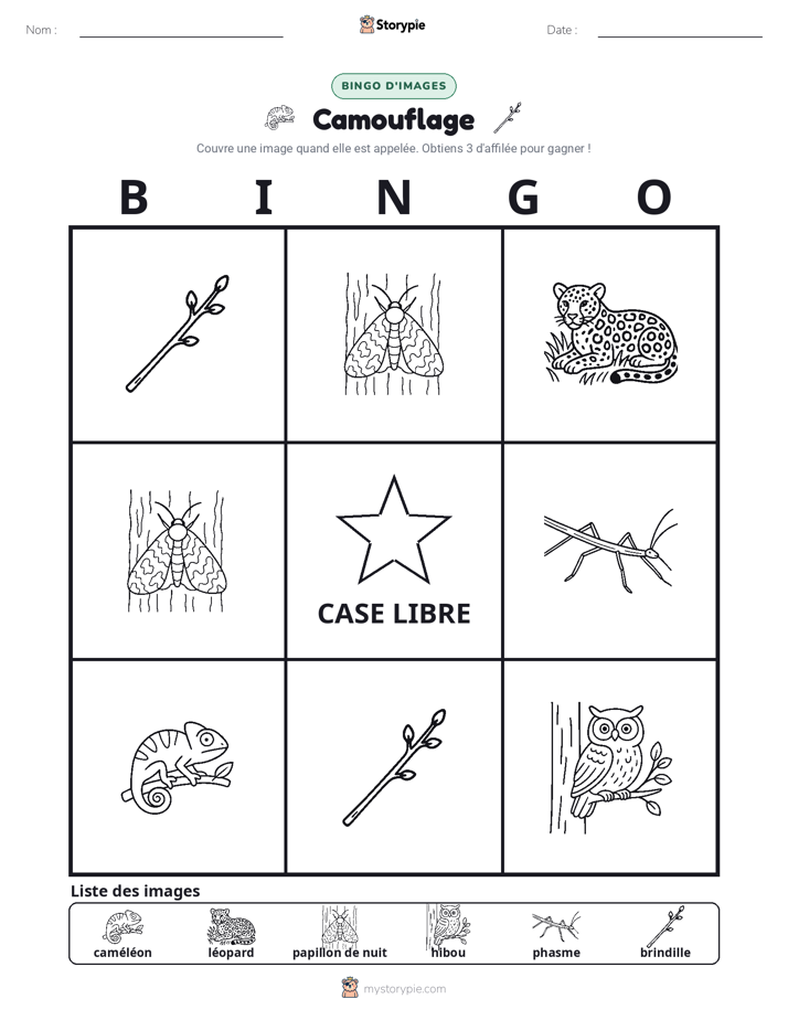 Bingo d'Images
