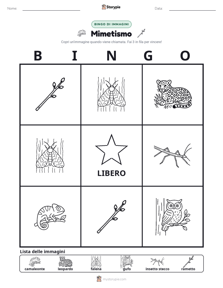 Bingo delle Immagini