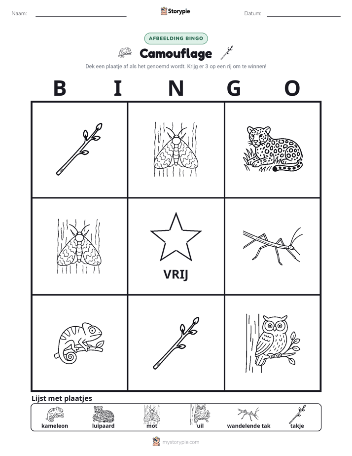 Afbeelding Bingo