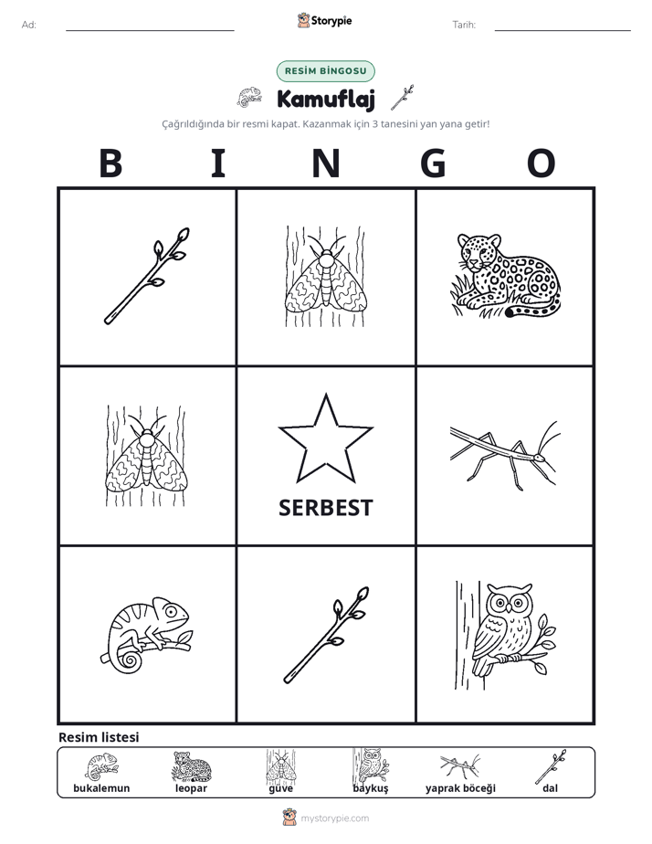 Resim Bingo