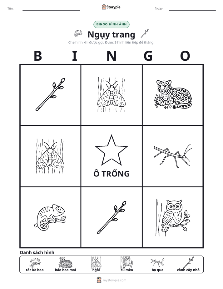 Bingo Hình Ảnh
