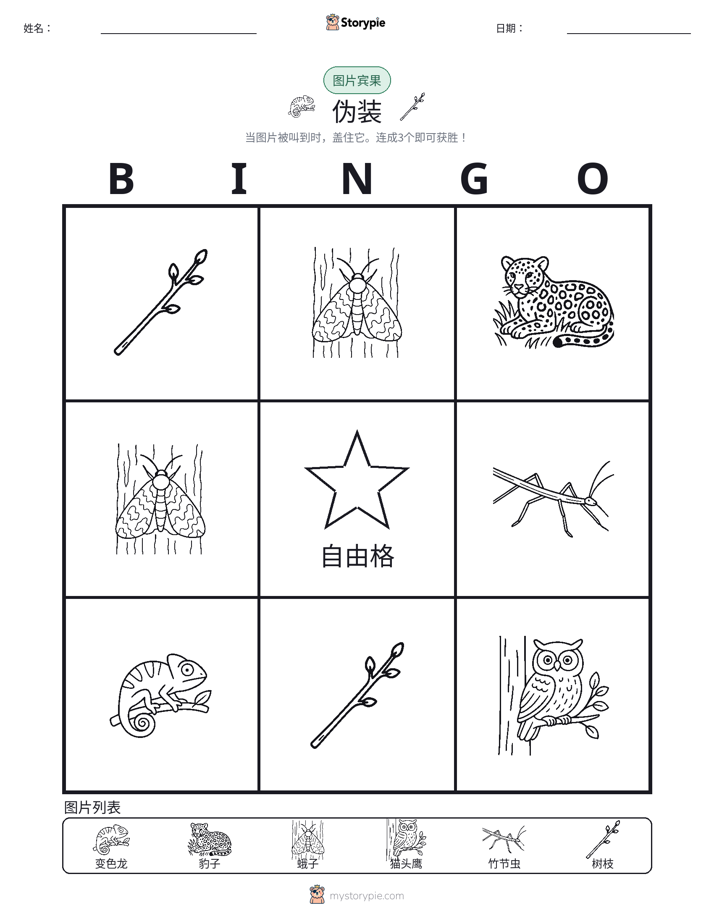 图片宾果