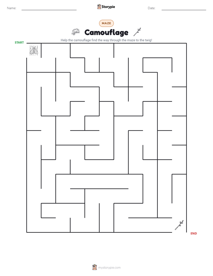 Maze