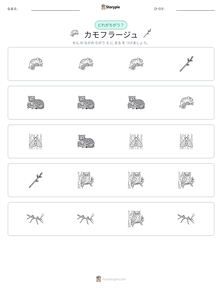 異なるものを見つけよう