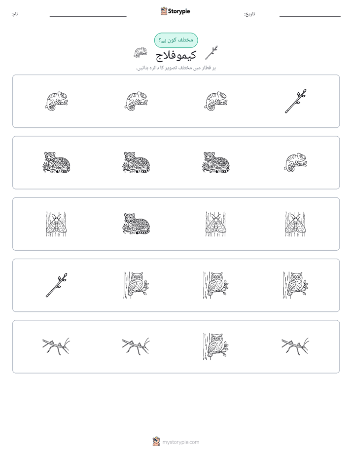 عجیب ایک