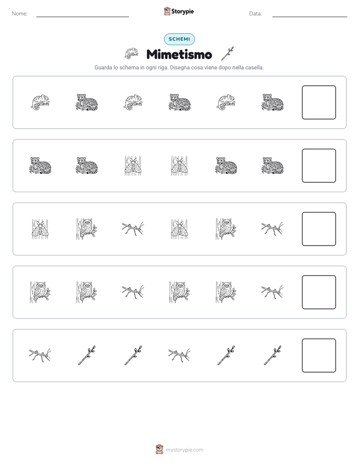 Pattern