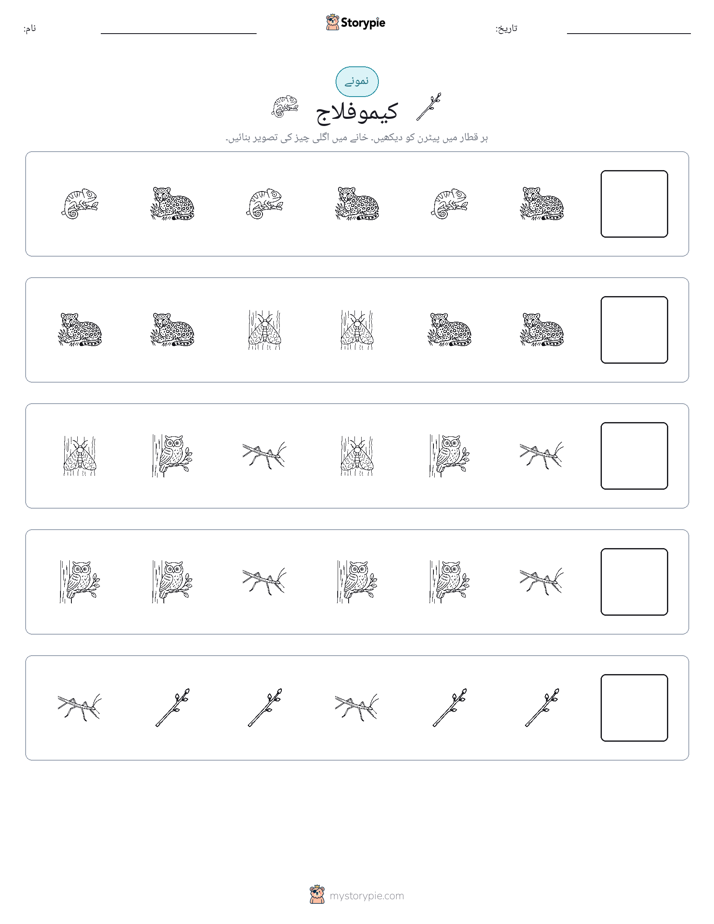 پیٹرن